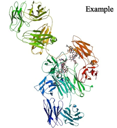 Eculizumab se yon antikò monoclonal
